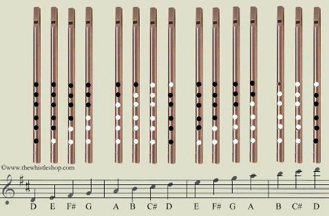Fingering Chart for the D Whistle